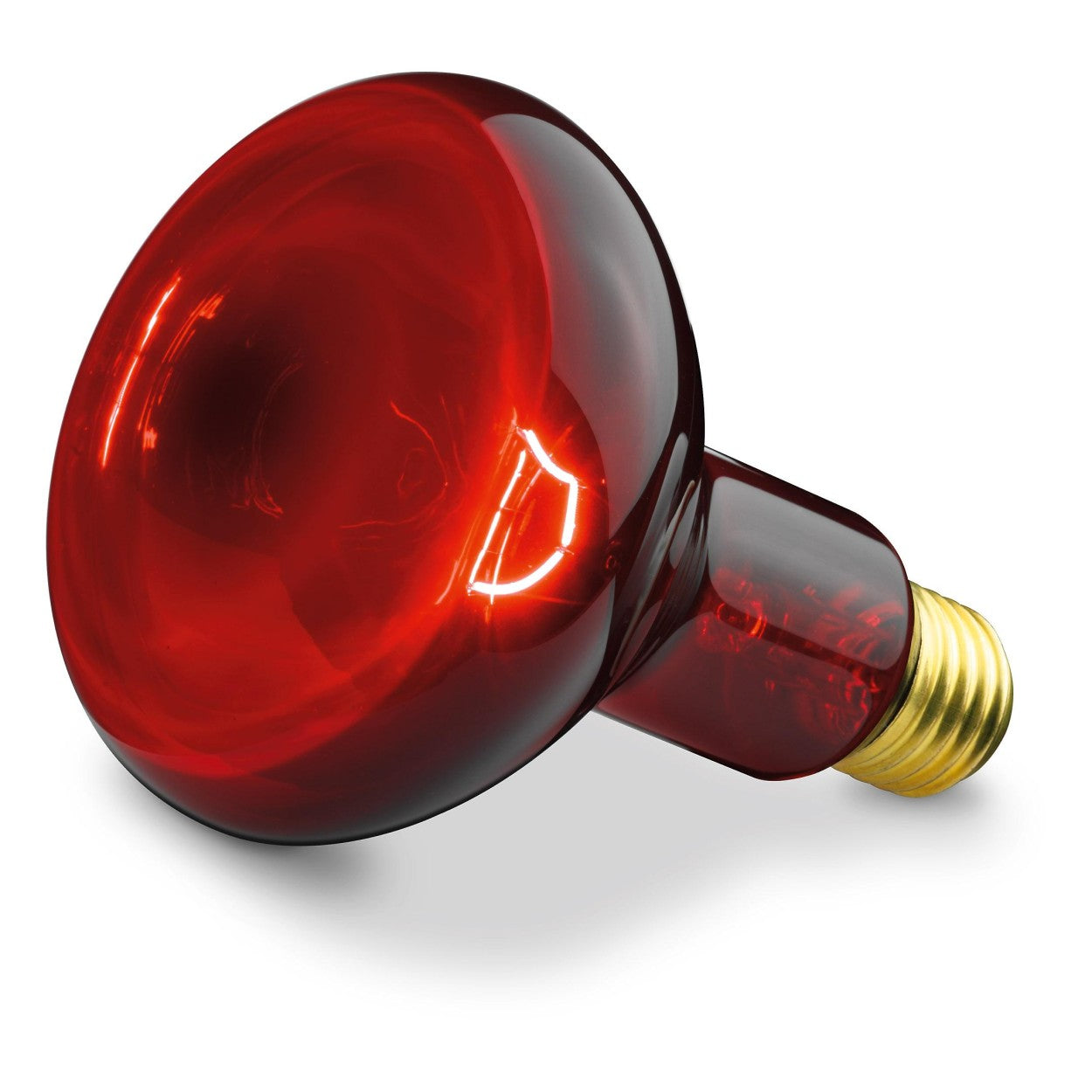 Beurer Infrared Bulb Replacement for Beurer IL 11 Infrared Lamp ONLY| 100 Watt