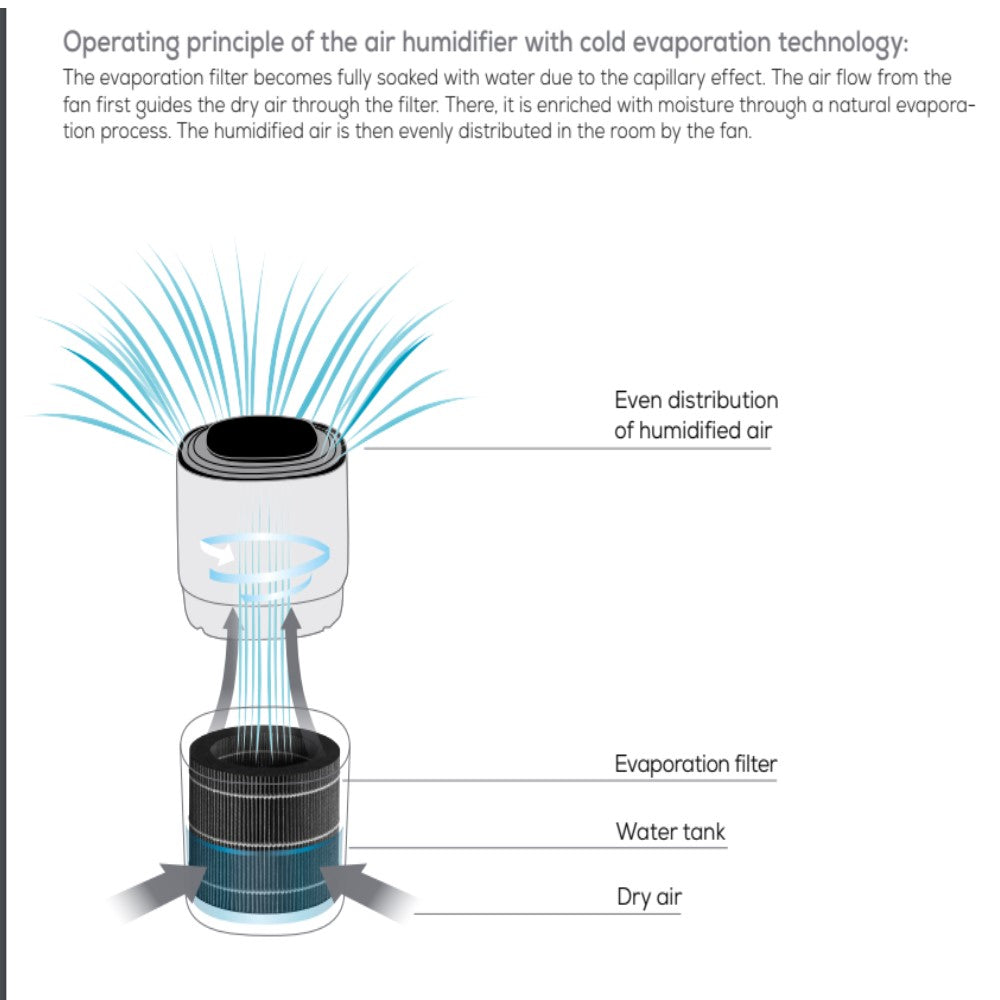 Beurer Air Humidifier: Hygienic Cold Evaporation Technology to 30m2: L