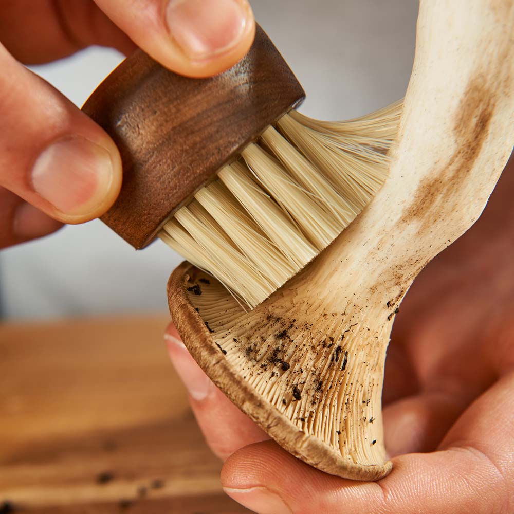 Roesle Mushroom Brush - Diameter 4 cm