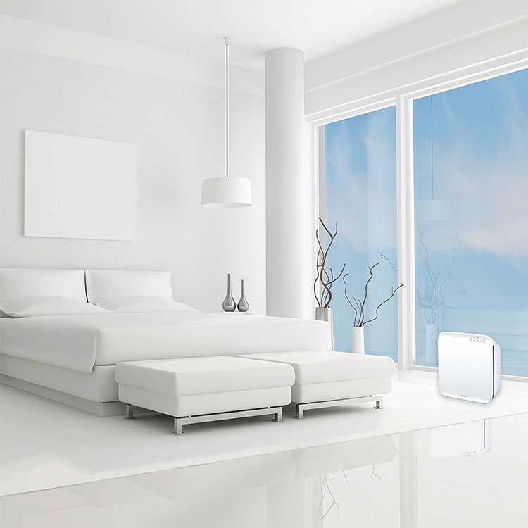 Beurer Air Purifier LR 300