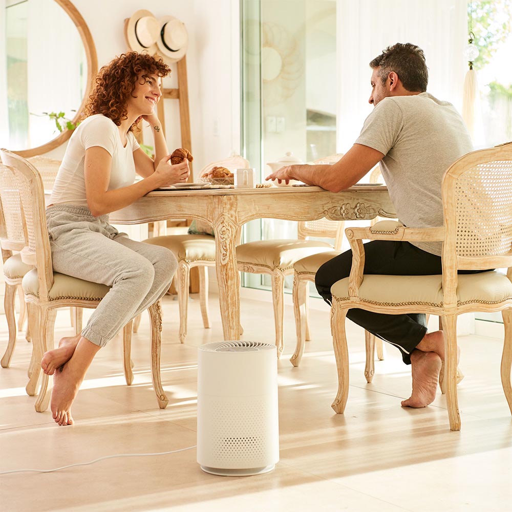 Beurer LR 220 Air Purifier | Clean Air for Allergy Sufferers | Filters Pollen, Dust & Bacteria | Rooms up to 37m²